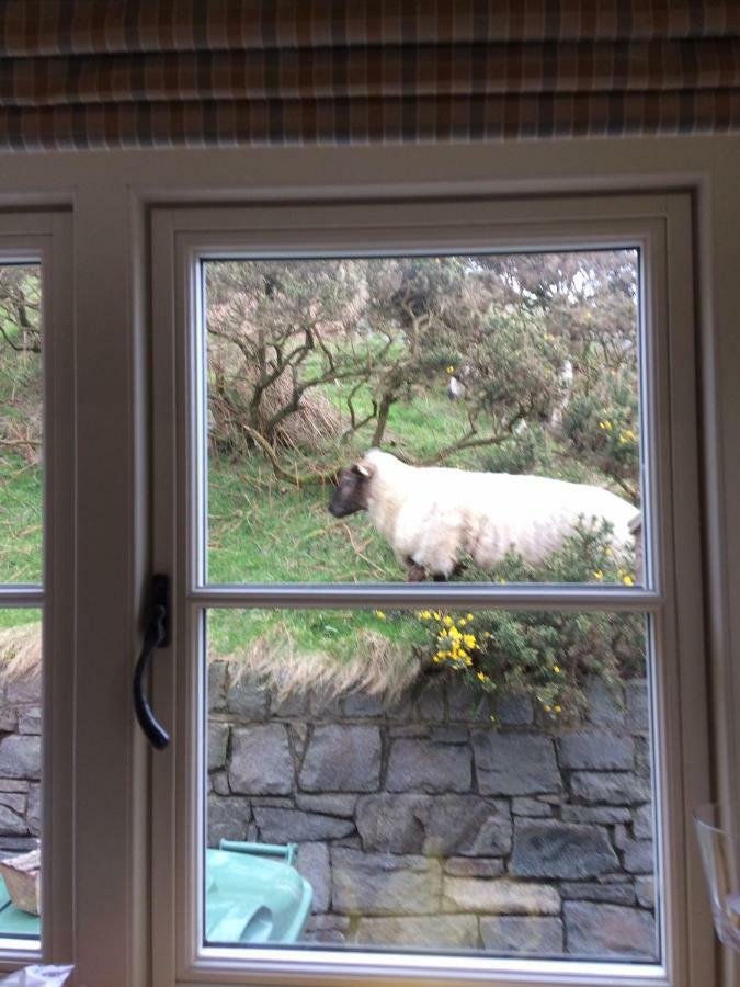 Rhiw 2 Bryn Tirion Villa Buitenkant foto